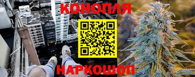 гидропоника Краснознаменск