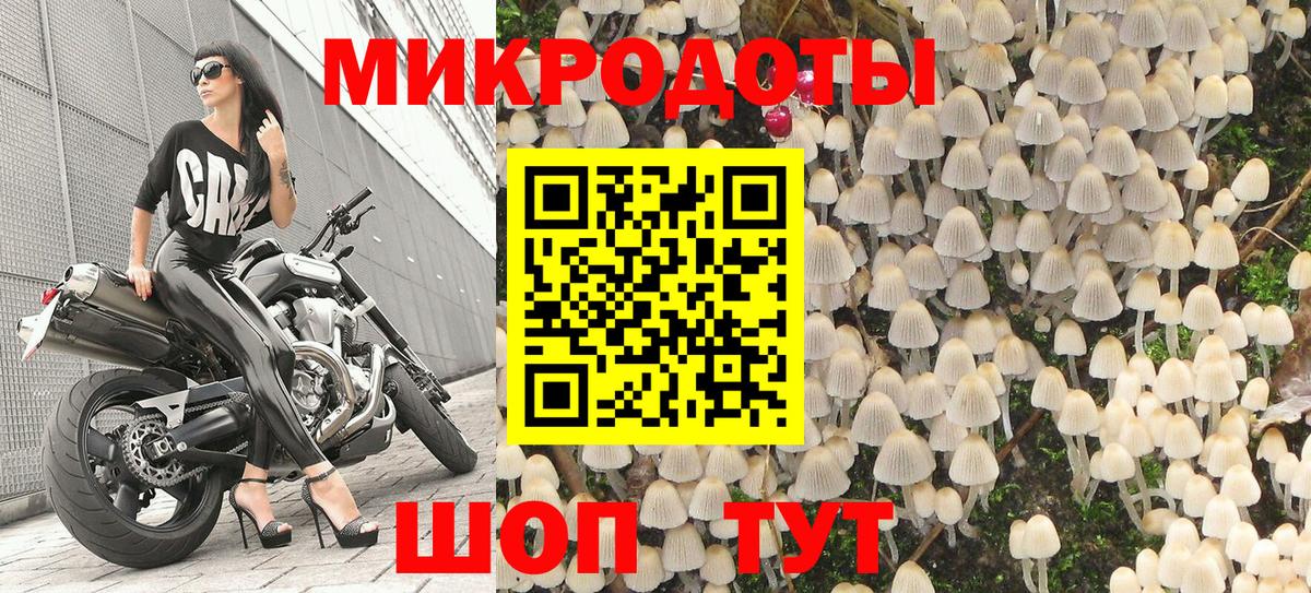 Галлюциногенные грибы Magic Shrooms  Вход с VPN  Псилоцибиновые грибы Psilocybine cubensis  Кириши 